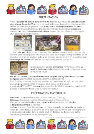 7 puzzles de lecture - Niveaux 2 et 3