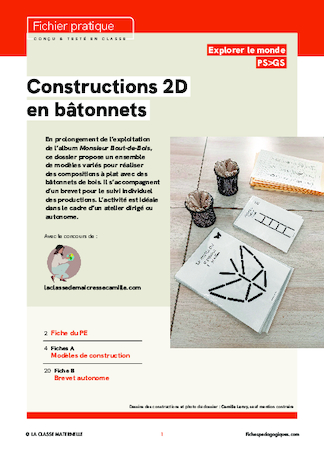 Constructions 2D en bâtonnets