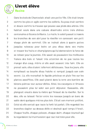 FLUO CE2 - Ressources numériques (extrait)