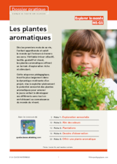 Les plantes aromatiques