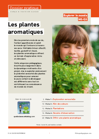 Les plantes aromatiques