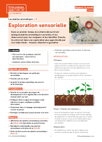 Les plantes aromatiques