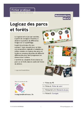 Logicaz des parcs et forêts