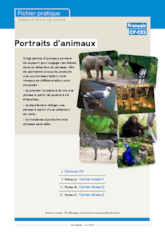 Portraits d'animaux