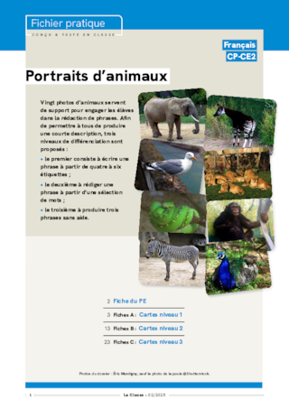 Portraits d'animaux